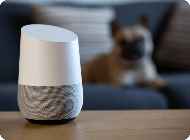 Google Home Users