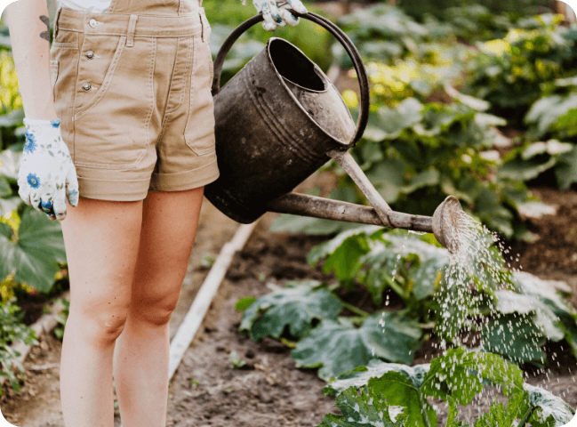 Green Thumb (Gardening) Users